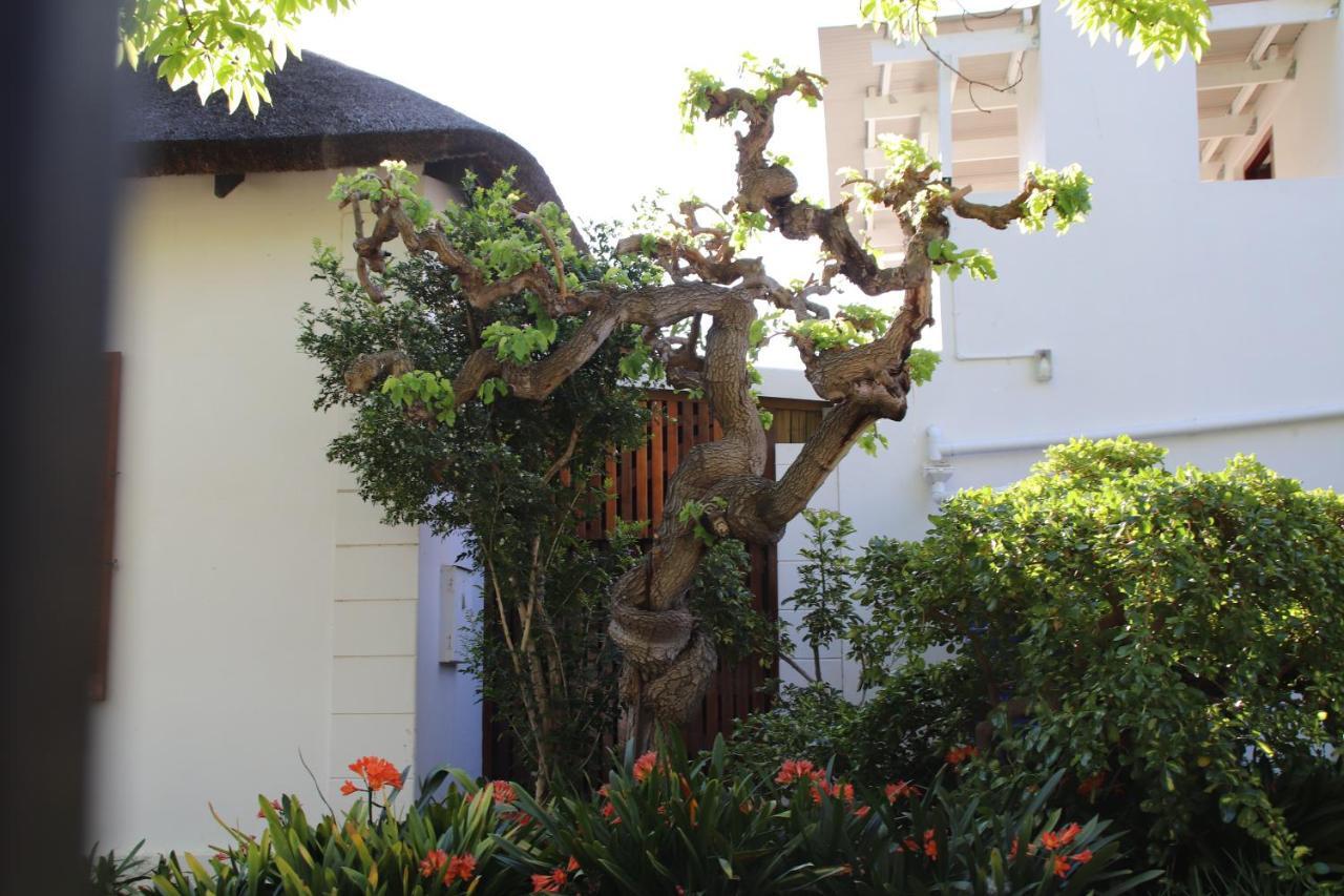 Petal'S Place Robertson Bagian luar foto